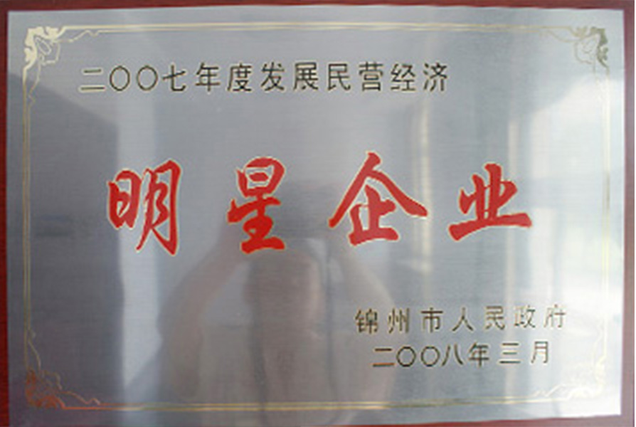 2007年度发展发营经济明星企业